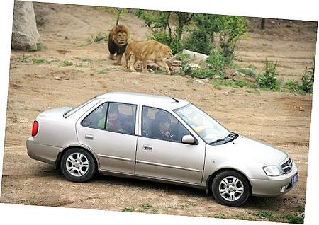 Purge Control Valve On A 2004 Chevrolet